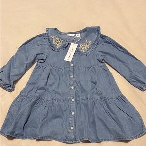 Janie and Jack Blue Chambray Dress with Embroidery